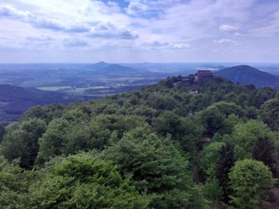 Hochwald in Oybin