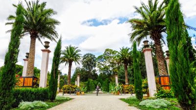 Palmengarten im Kurpark von Bad Pyrmont