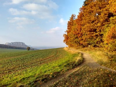 Pfaffenstein bei Königstein